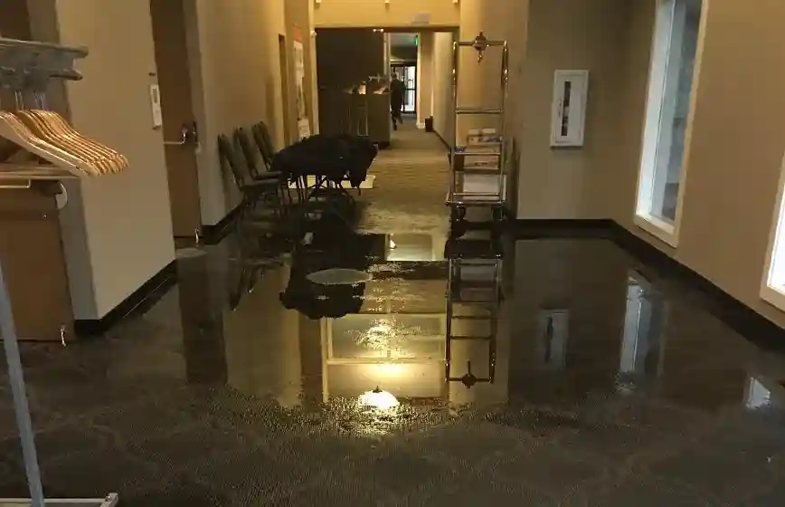 WDR PRO’s - Water Damage Restoration